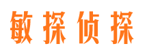 元坝市侦探调查公司